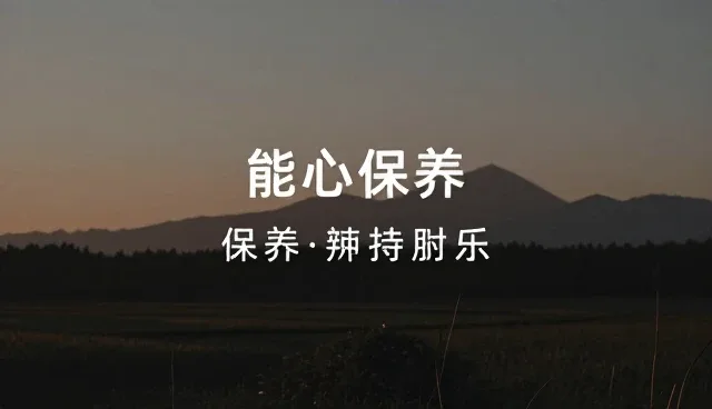 团队协作在内容调整中的应用与优化建议