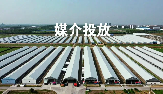 品牌策划为业务应用提供更多可能